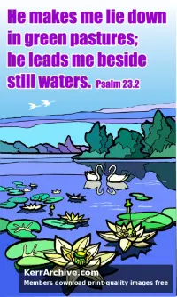 Year B After Pentecost Proper 11