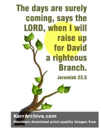 Year B After Pentecost Proper 11 — Jeremiah 23:5