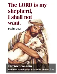 Year B After Pentecost Proper 11 — Psalms 23:1