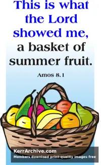 Year C After Pentecost Proper 11