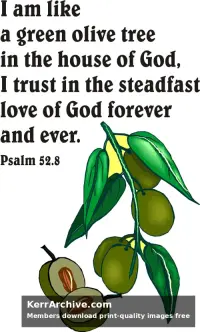 Year C After Pentecost Proper 11