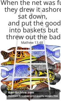 Year A After Pentecost Proper 12
