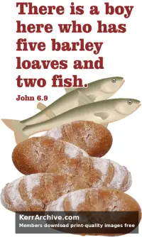 Year B After Pentecost Proper 12