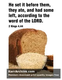 Year B After Pentecost Proper 12 — 2 Kings 4:44