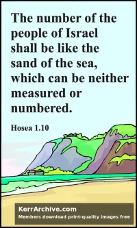 Year C After Pentecost Proper 12