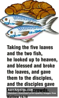 Year A After Pentecost Proper 13