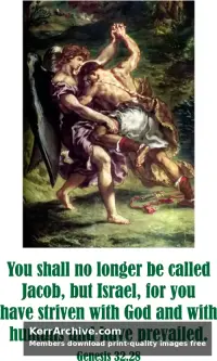Year A After Pentecost Proper 13