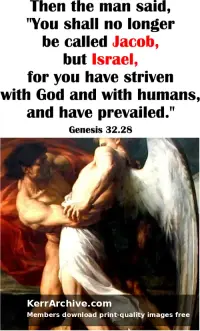 Year A After Pentecost Proper 13