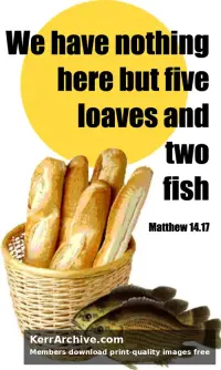 Year A After Pentecost Proper 13 — Matthew 14:17