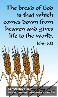 Year B After Pentecost Proper 13