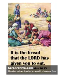 Year B After Pentecost Proper 13 — Exodus 16:15