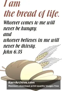 Year B After Pentecost Proper 13