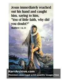 Year A After Pentecost Proper 14 — Matthew 14:31