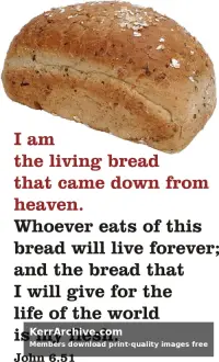 Year B After Pentecost Proper 14