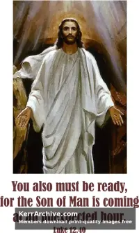 Year C After Pentecost Proper 14