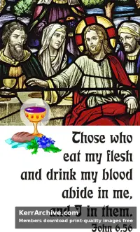 Year B After Pentecost Proper 15
