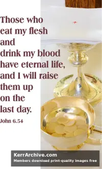 Year B After Pentecost Proper 15