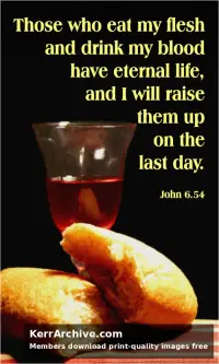 Year B After Pentecost Proper 15