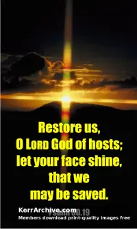Year C After Pentecost Proper 15
