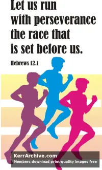 Year C After Pentecost Proper 15