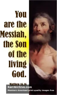 Year A After Pentecost Proper 16