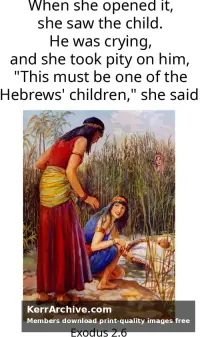 Year A After Pentecost Proper 16