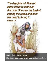 Year A After Pentecost Proper 16 — Exodus 2:5