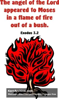 Year A After Pentecost Proper 17