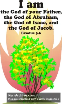 Year A After Pentecost Proper 17