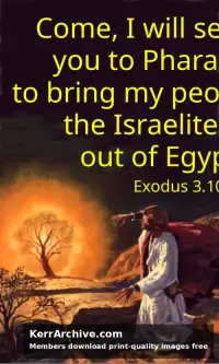 Year A After Pentecost Proper 17