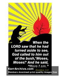 Year A After Pentecost Proper 17 — Exodus 3:4