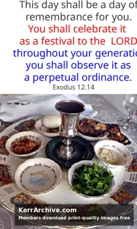 Year A After Pentecost Proper 18