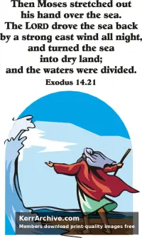 Year A After Pentecost Proper 19