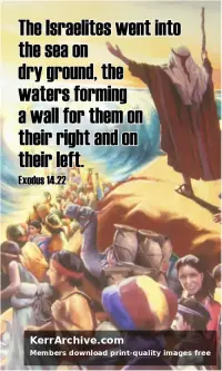 Year A After Pentecost Proper 19