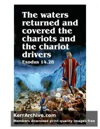 Year A After Pentecost Proper 19 — Exodus 14:28