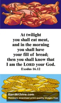 Year A After Pentecost Proper 20