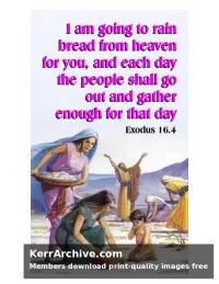 Year A After Pentecost Proper 20 — Exodus 16:4