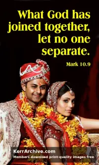Year B After Pentecost Proper 22 — Mark 10:9