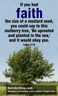 Year C After Pentecost Proper 22 — Luke 17:6