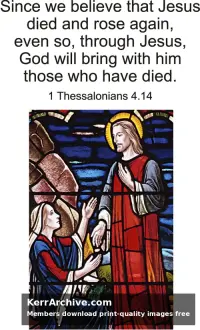 Year A After Pentecost Proper 27