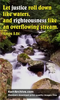 Year A After Pentecost Proper 27