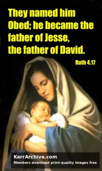 Year B After Pentecost Proper 27 — Ruth 4:17