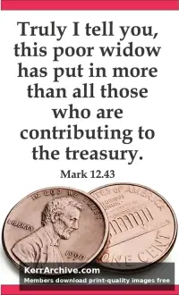 Year B After Pentecost Proper 27