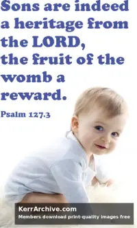 Year B After Pentecost Proper 27