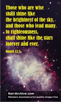 Year B After Pentecost Proper 28
