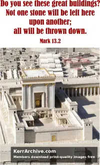 Year B After Pentecost Proper 28