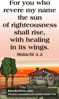 Year C After Pentecost Proper 28