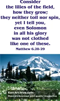 Year A Epiphany Eighth Sunday