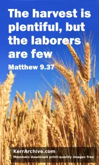 Year A After Pentecost Proper 6 — Matthew 9:23