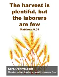 Year A After Pentecost Proper 6 — Matthew 9:37